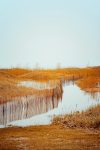 alex-simpson-Bqys5UgnG00-unsplash