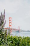 annie-spratt-a9AF5c-PqmE-unsplash