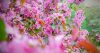 chris-maccaux-3xYe1YB6gKQ-unsplash