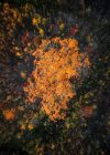 dave-hoefler-KlnqheZOxIU-unsplash