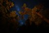 dave-hoefler-dVoZU1gdc-A-unsplash