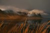 leandra-rieger-9Kwb05iNtRU-unsplash