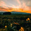 vaye-dris-KkkvXzYrp_U-unsplash