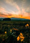 vaye-dris-KkkvXzYrp_U-unsplash